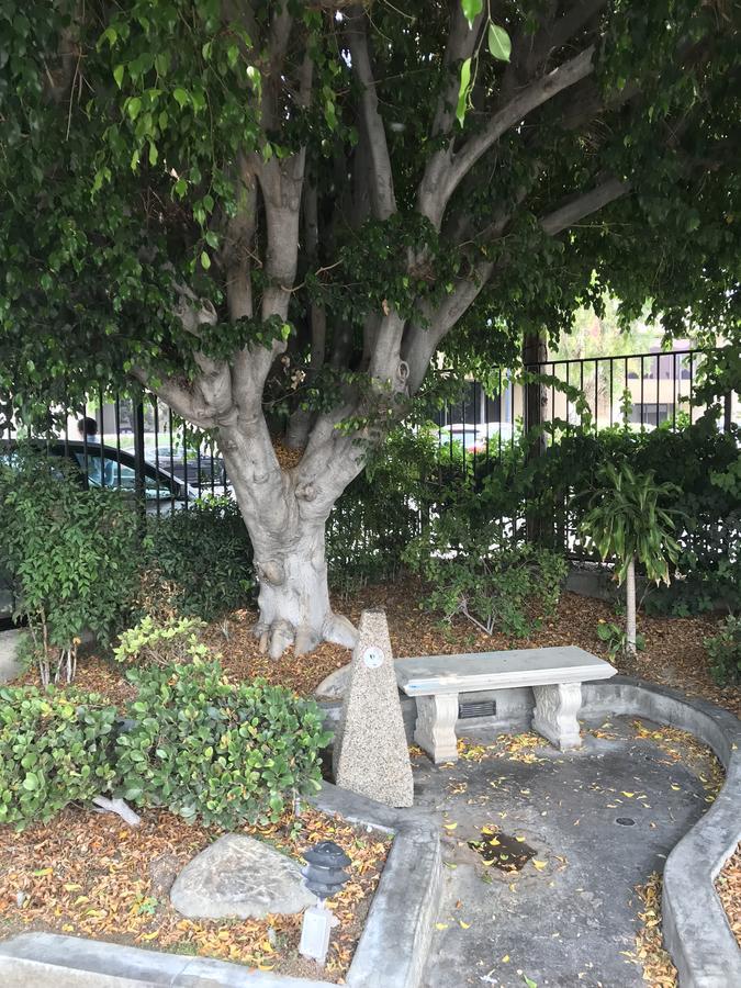 Akua Motor Hotel Anaheim Dış mekan fotoğraf